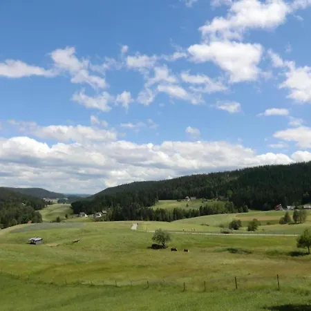公寓 In In The Black Forest *