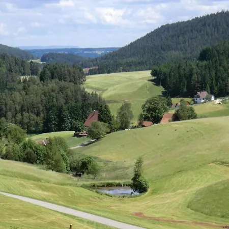 In In The Black Forest 公寓 劳特尔巴赫