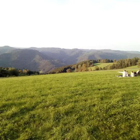 In In The Black Forest *