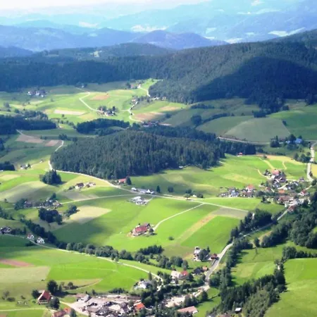 公寓 In In The Black Forest *