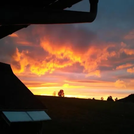 In Im Schwarzwald Apartmán