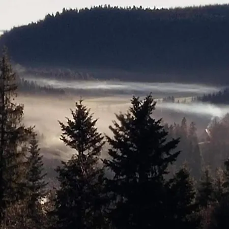 Apartmán In Im Schwarzwald