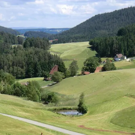 In Im Schwarzwald Apartmán *
