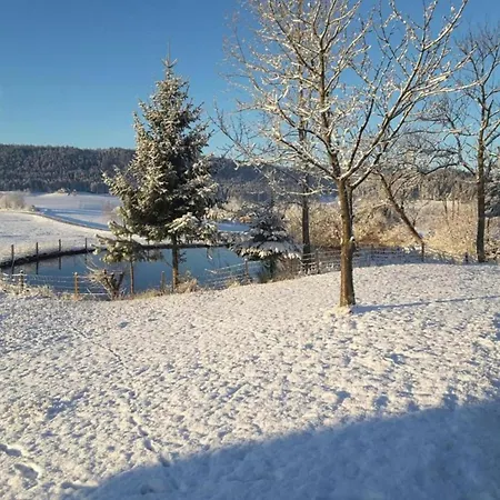 Apartmán In Im Schwarzwald