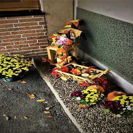 In Im Schwarzwald Apartmán *