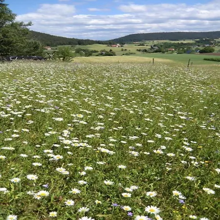 Apartmán In Im Schwarzwald *